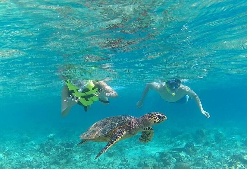 پانسیون Holiday Garden Rasdhoo