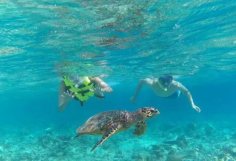 پانسیون Holiday Garden Rasdhoo