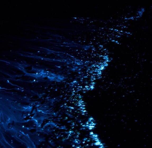 펜션 Oceana Boutique