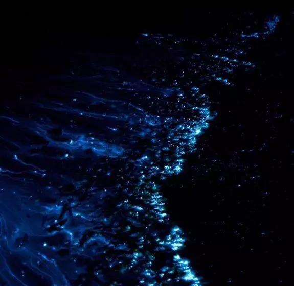 پانسیون Oceana Boutique