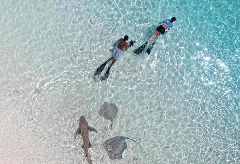 펜션 Oceana Boutique