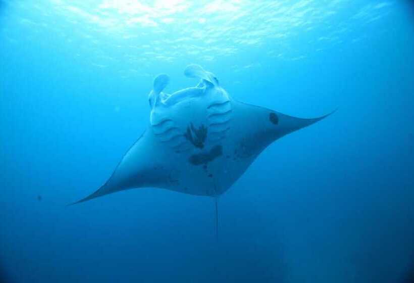 پانسیون Serene Sky Guesthouse