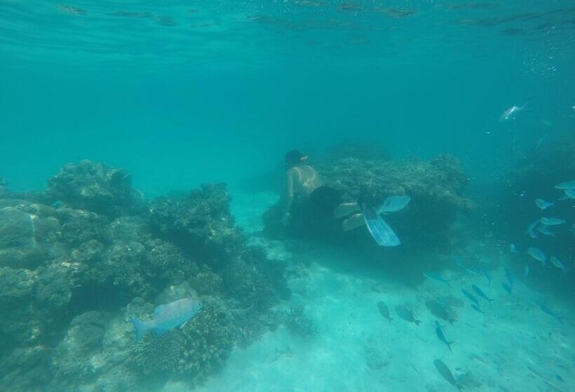 پانسیون Serene Sky Guesthouse