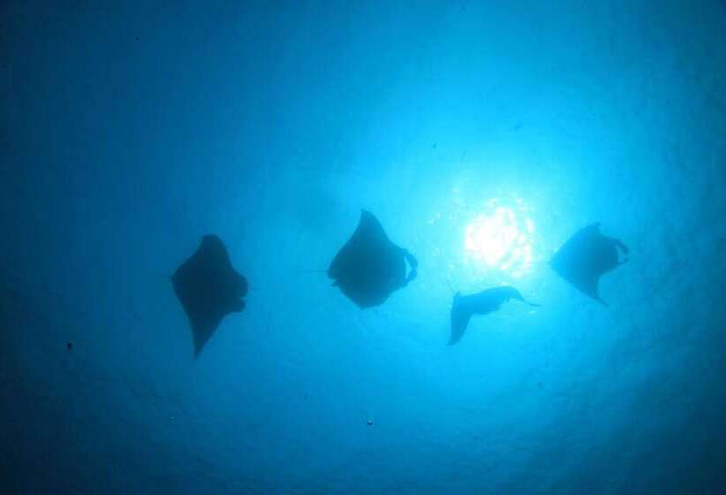 پانسیون Serene Sky Guesthouse