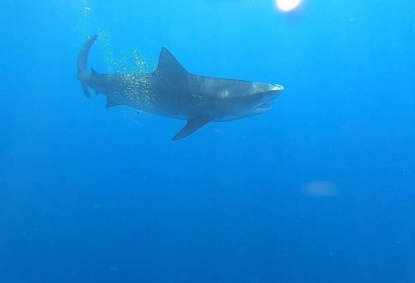 پانسیون Serene Sky Guesthouse