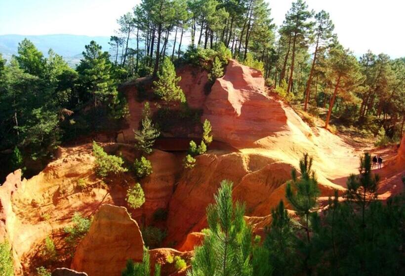 בית מלון כפרי First Inn