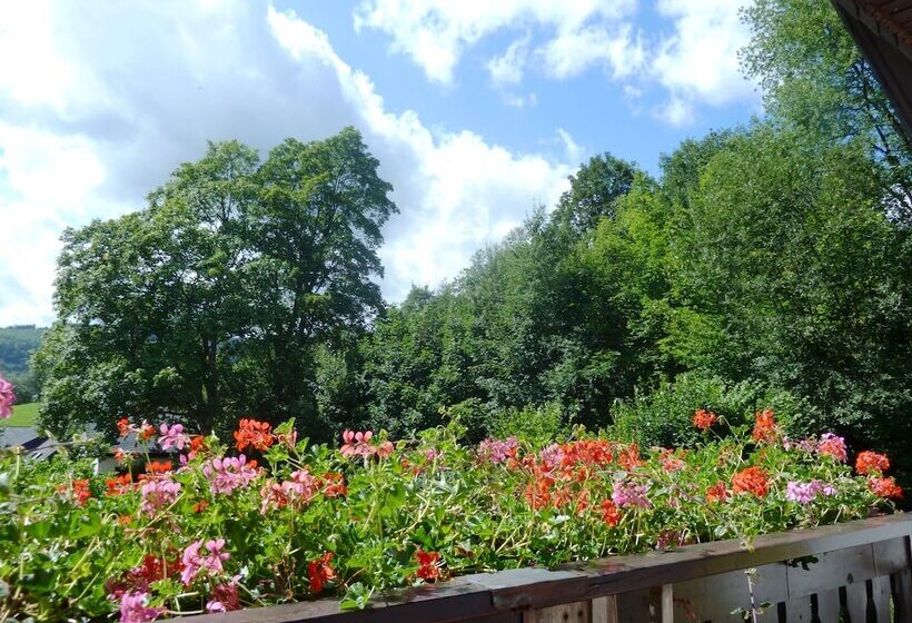 Pension Haus Waldfrieden, Meinecardplus Inklusive