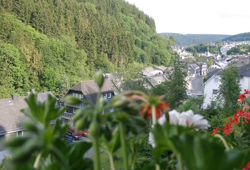 Pension Haus Waldfrieden, Meinecardplus Inklusive