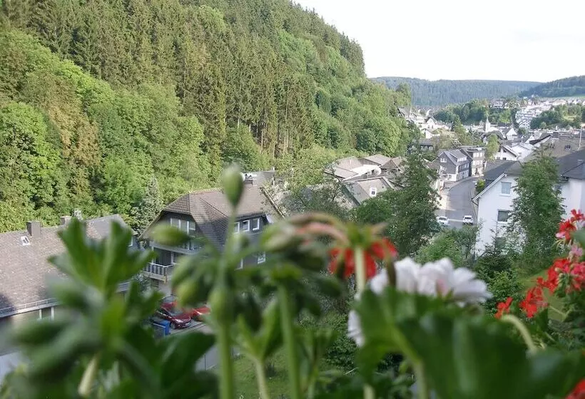 Pension Haus Waldfrieden, Meinecardplus Inklusive