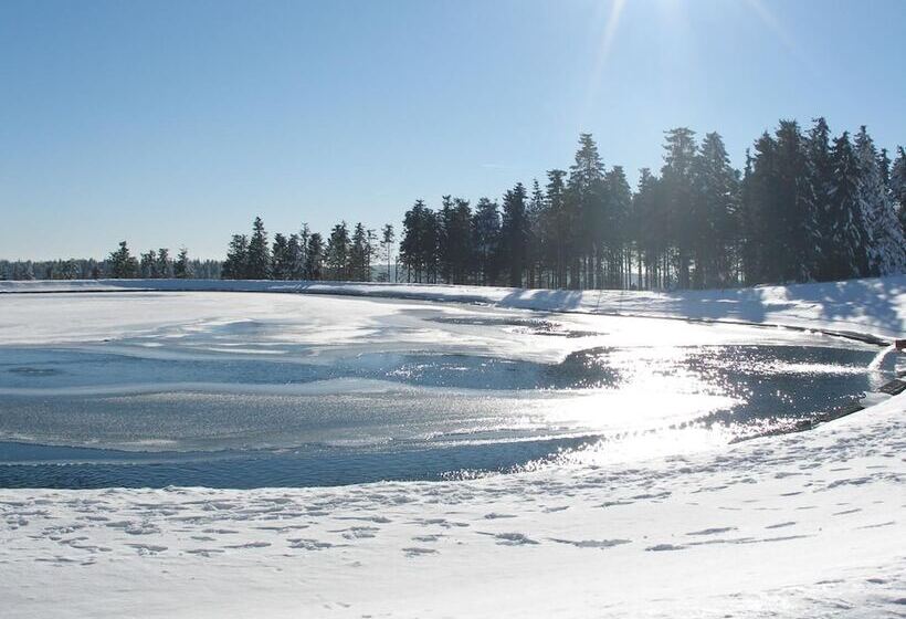 Pension Haus Waldfrieden, Meinecardplus Inklusive