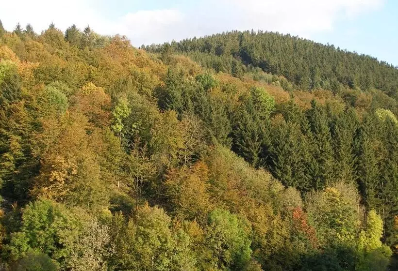 Pension Haus Waldfrieden, Meinecardplus Inklusive