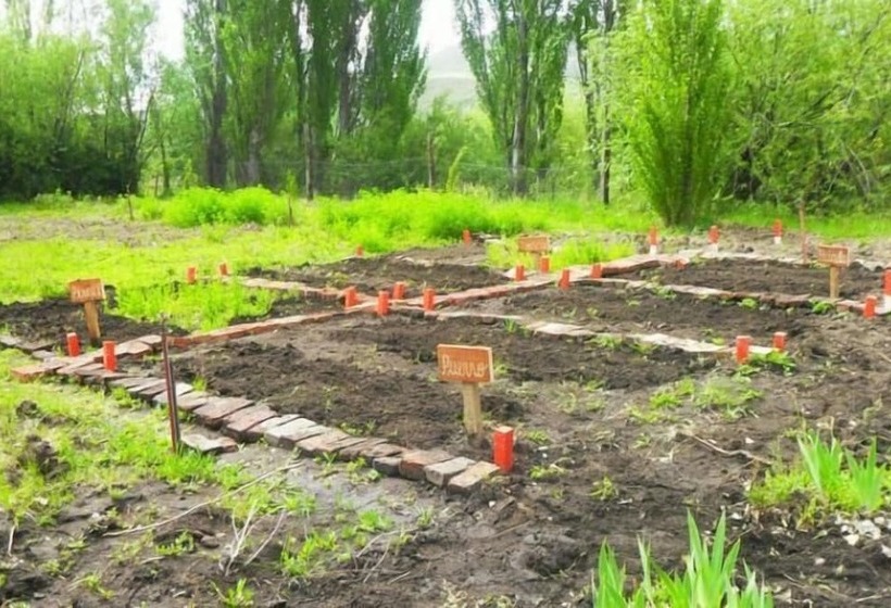 Szálloda Spring Creek Lodge