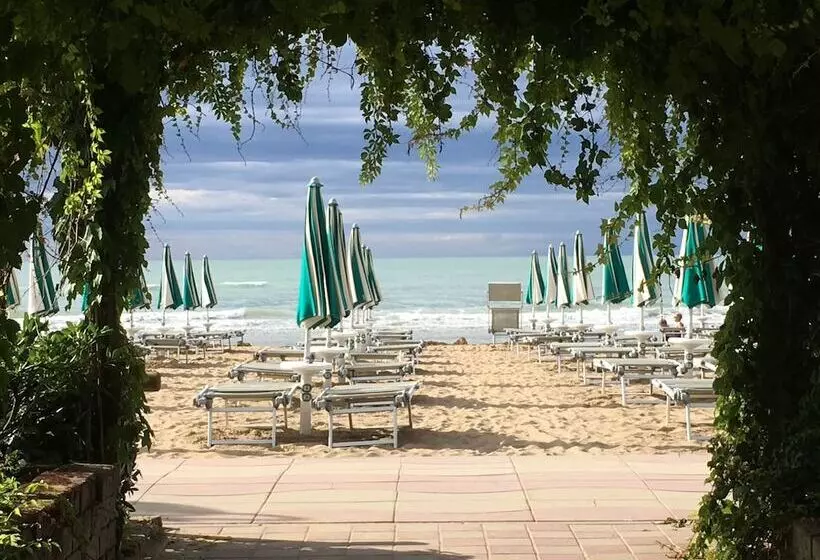 هتل Viña Del Mar Pineta