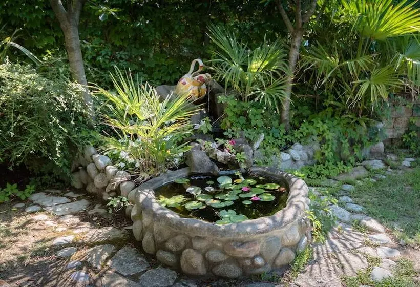 هتل Viña Del Mar Pineta