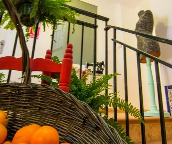 پانسیون San José Guest House