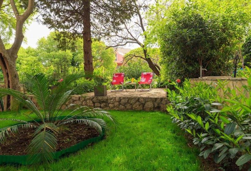 ホテル Leona & Borna's Central Lapad Suites