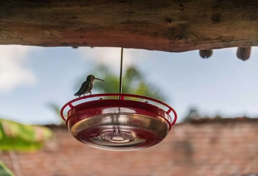 호텔 Posada Del Hidalgo  Centro Historico A Balderrama Collection