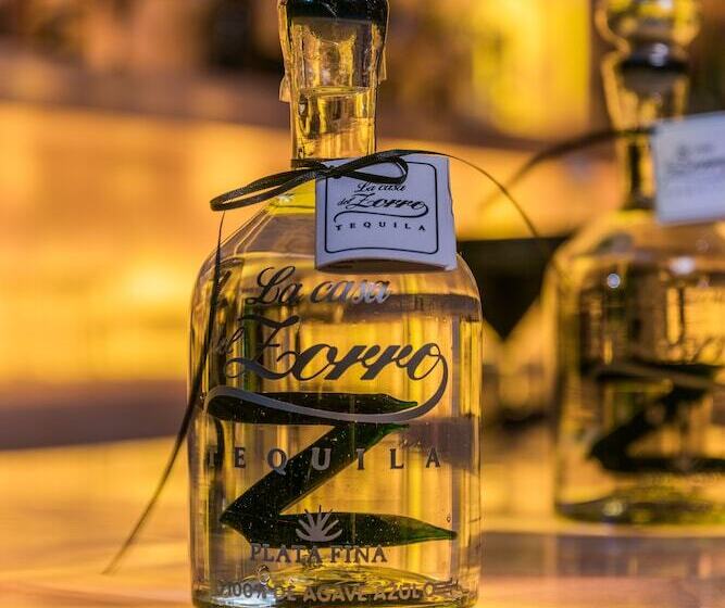 Otel Posada Del Hidalgo Centro Historico A Balderrama Collection