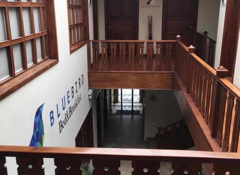 Blue Bird Bed And Breakfast