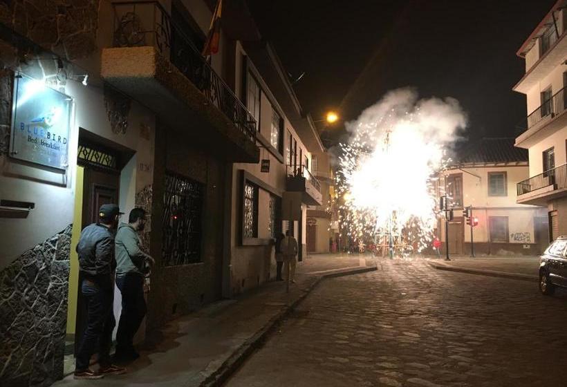 Blue Bird Bed And Breakfast