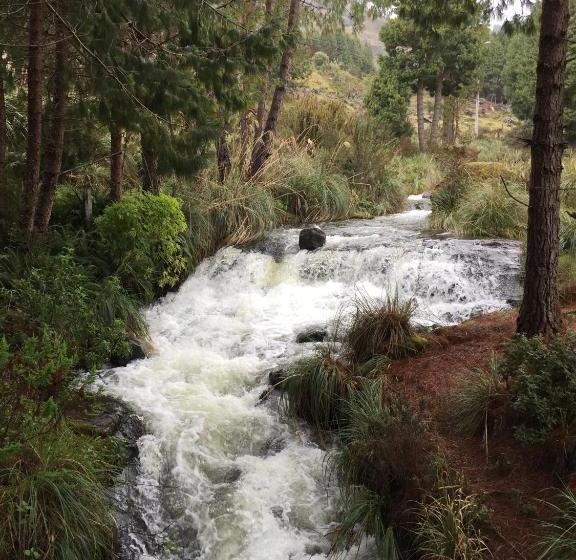 Blue Bird Bed And Breakfast