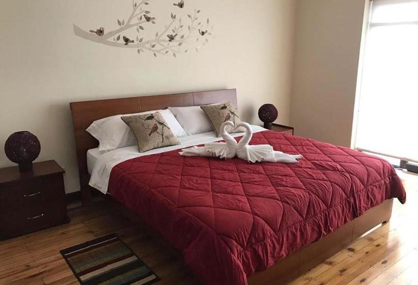 Blue Bird Bed And Breakfast