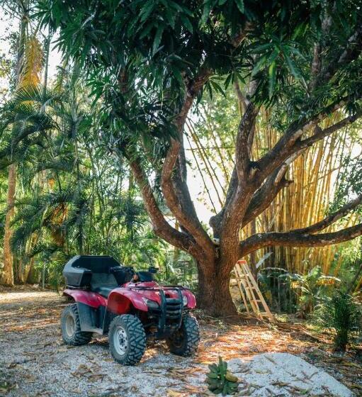 فندق Calamocha Lodge