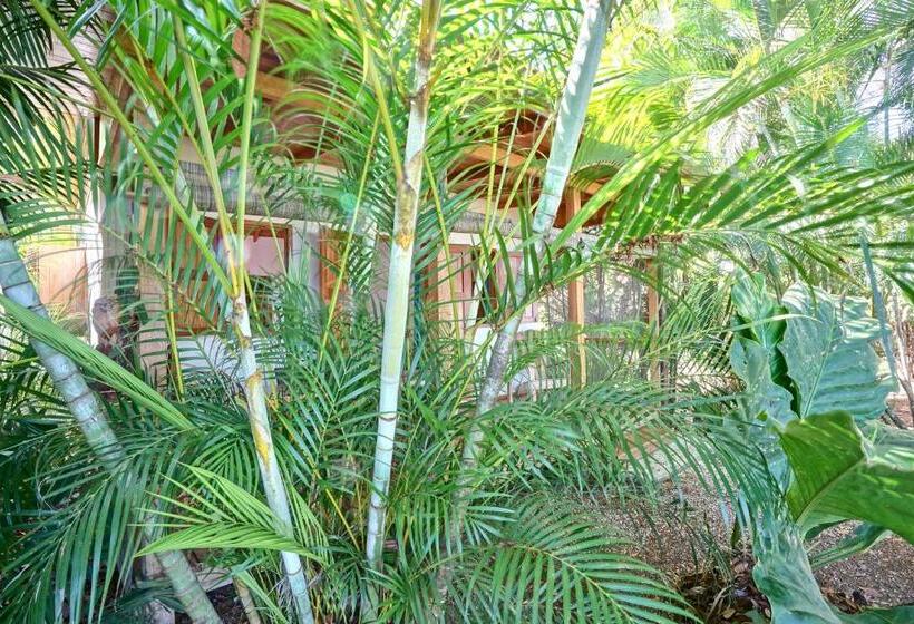 فندق Calamocha Lodge