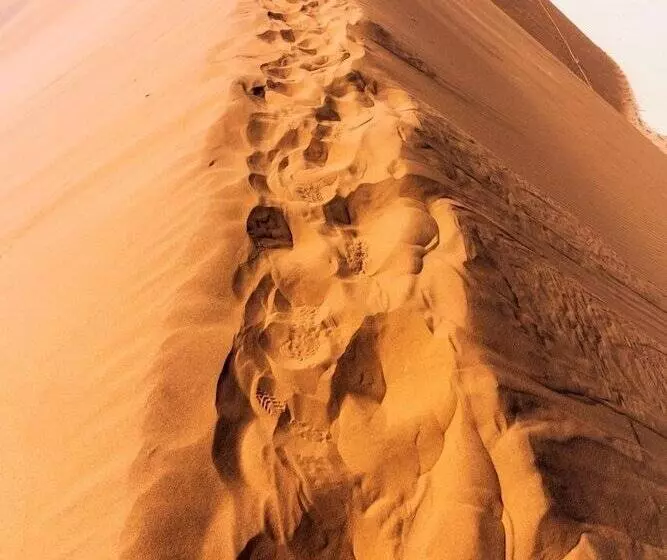 هتل Elegant Desert Lodge