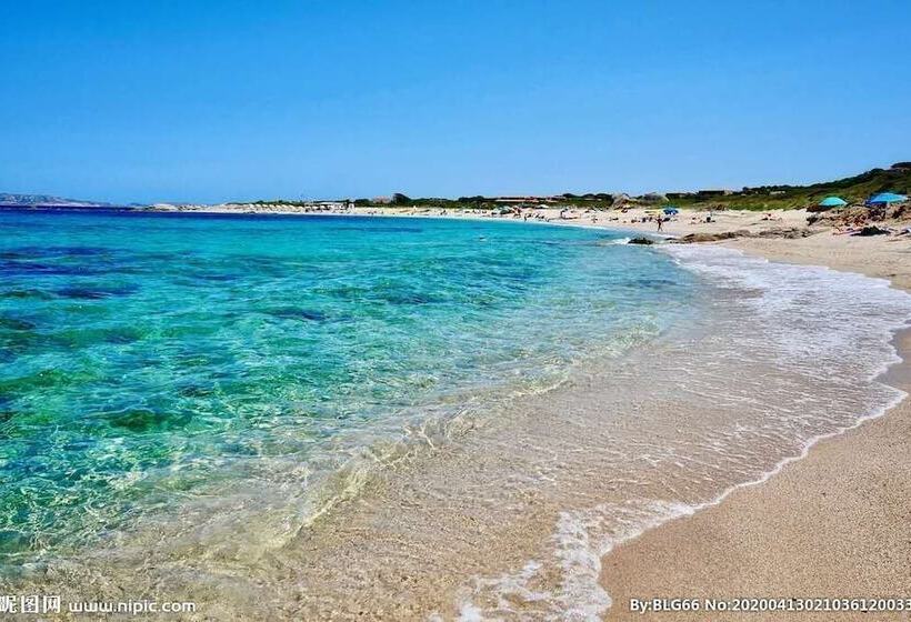 בית מלון כפרי Haiyue