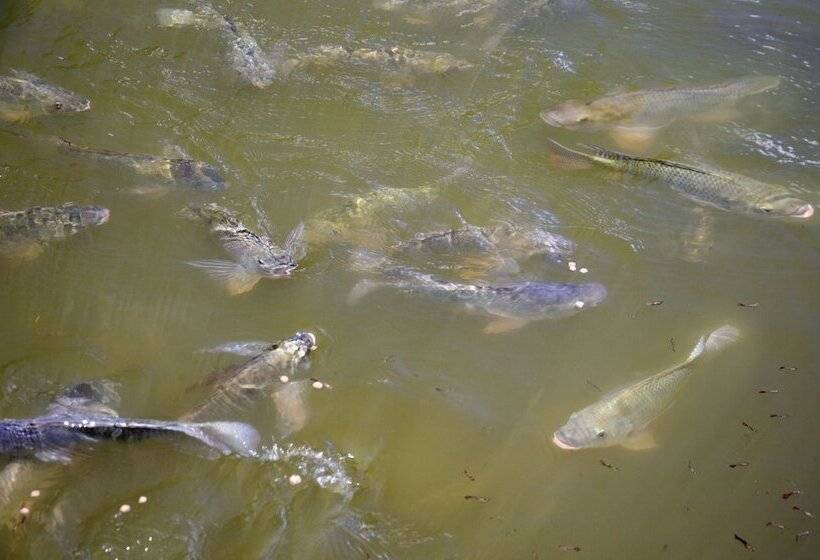 Hotel Pousada Rio Dos Cristais