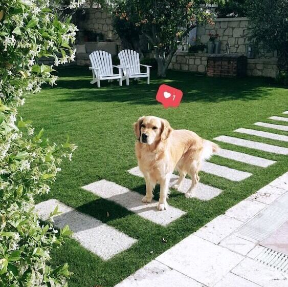 Peremere Alacati Otel