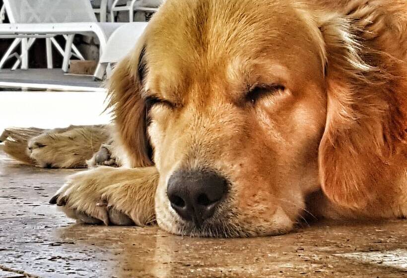 Peremere Alacati Otel