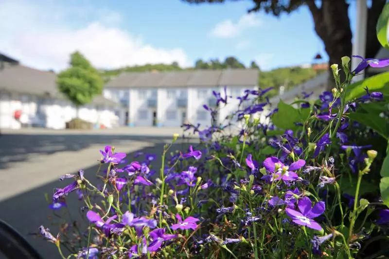 בית מלון כפרי Midway Pacifica Lodge