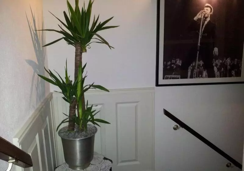 Отель The Concert