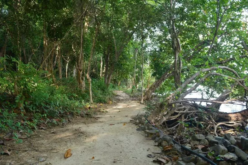 ホテル The Jemuruk Island Resort