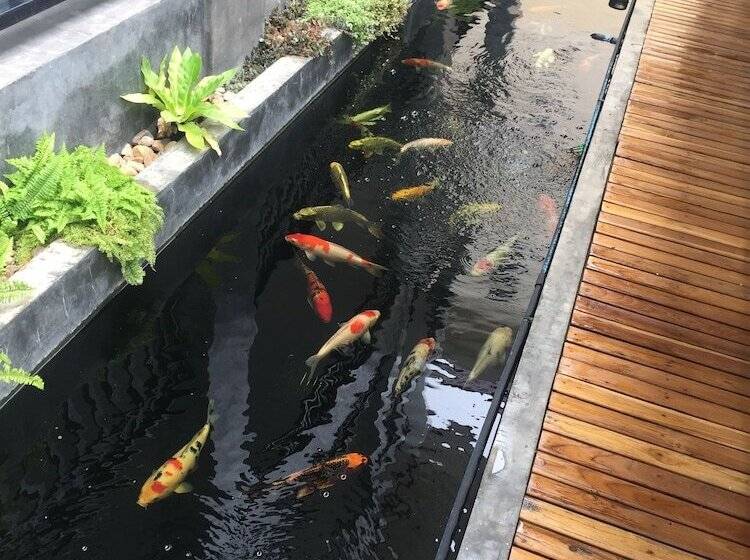 Phetcharat Grand Hotel Maesot