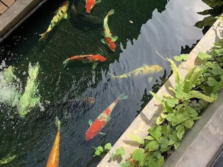 Phetcharat Grand Hotel Maesot