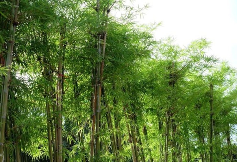 Montana Hotel Songkhla