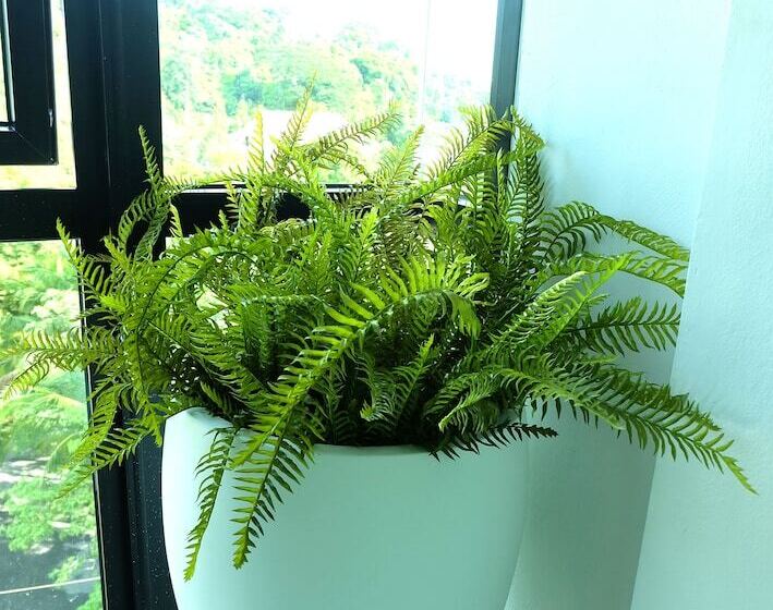 Montana Hotel Songkhla