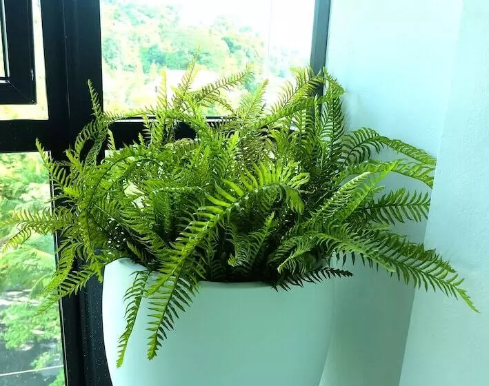 Montana Hotel Songkhla