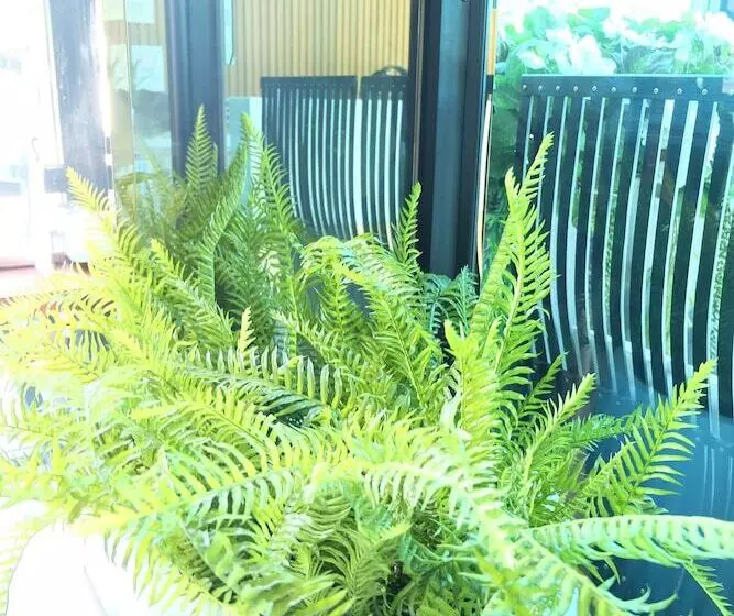 Montana Hotel Songkhla