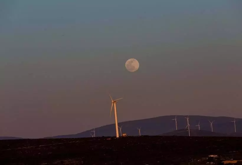 هتل Woodstock Alaçatı