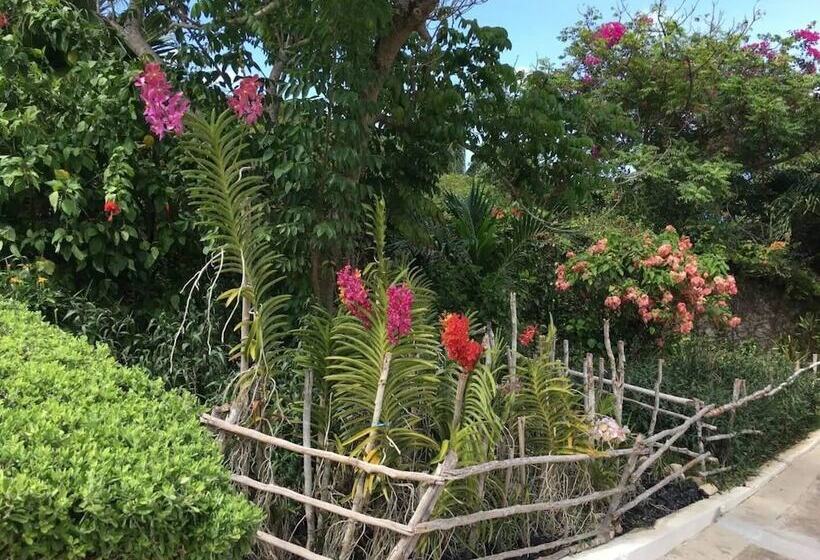 Nianna Luxurious Villa