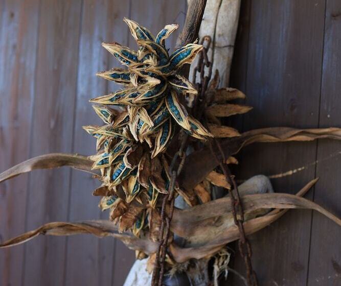 پانسیون Star Light Terrace Teruya