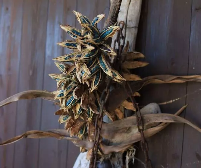 Majatalo Star Light Terrace Teruya