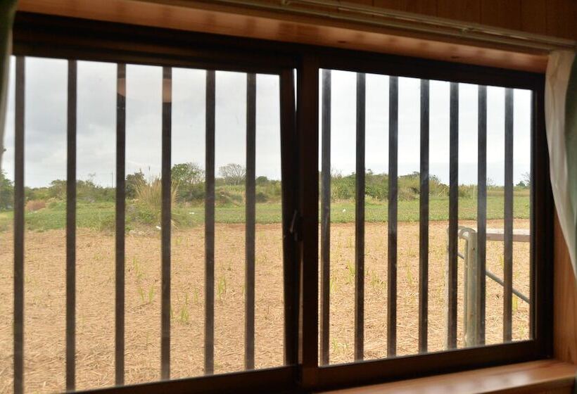 پانسیون Star Light Terrace Teruya