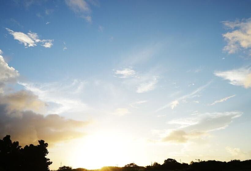 پانسیون Star Light Terrace Teruya