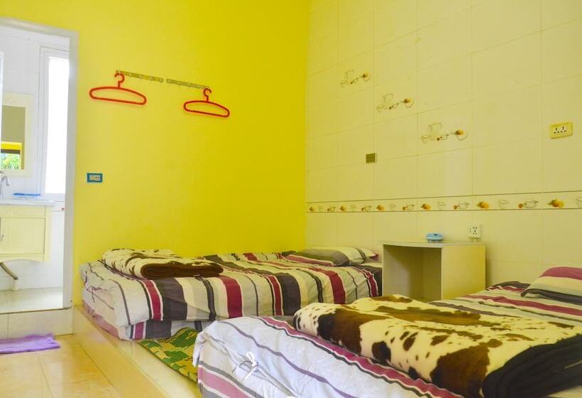 Dali Five Elements Hostel