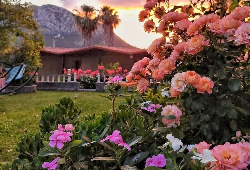 تختخواب و صبحانه Likya Adrasan